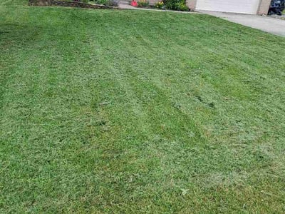 Lawn care service in Lawrenceburg, 47025