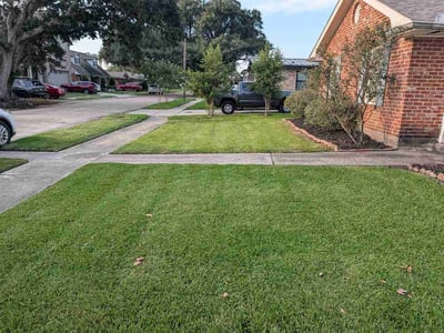 Lawn care service in Metairie, 70002