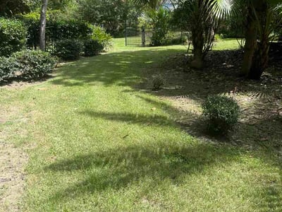 Lawn care service in Mandeville, 70448