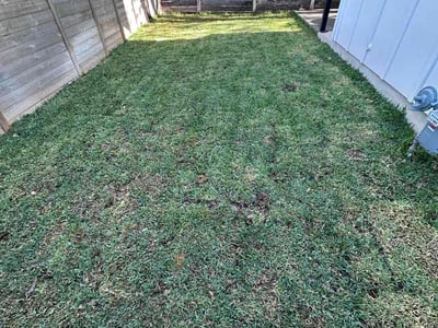 Lawn care service in Austin, 78702