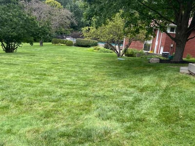 Lawn care service in Farmington Hills, 48334