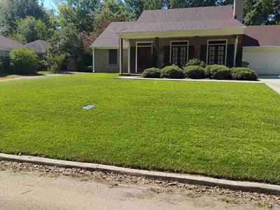 Lawn care service in Madison, 39110