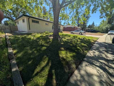 Lawn care service in Arvada, 80003