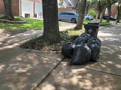 Lawn care service in Sugar Land, 77478