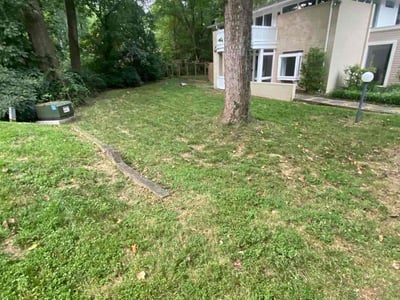 Lawn care service in Potomac, 20854