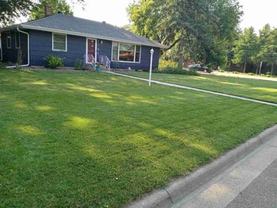 Lawn care service in Roseville, 55113