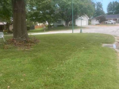 Lawn care service in Blue Springs, 64015