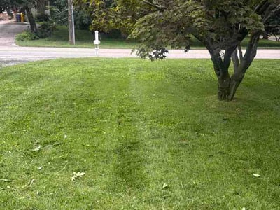 Lawn care service in Crofton, 21114