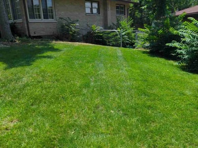 Lawn care service in Oak Forest, 60452