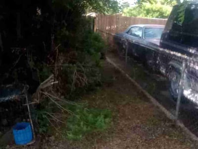 Lawn care service in , 