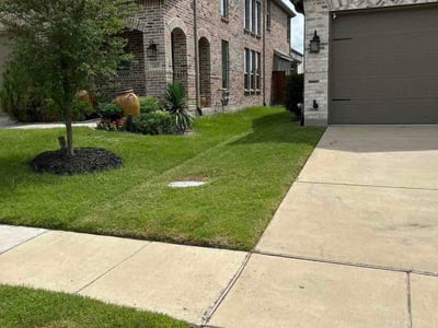 Lawn care service in Forney, 75126