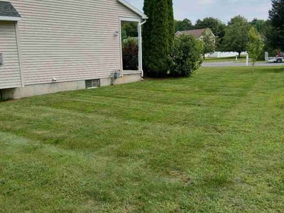 Lawn care service in Saratoga County, 12065