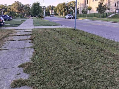 Lawn care service in Kansas City, 64128