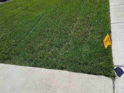 Lawn care service in Colorado Springs, 80925