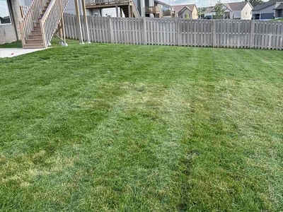 Lawn care service in Gretna, 68028