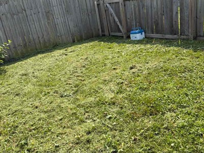 Lawn care service in Indianapolis, 46201