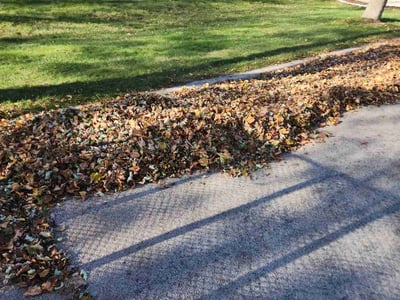 Lawn care service in , 
