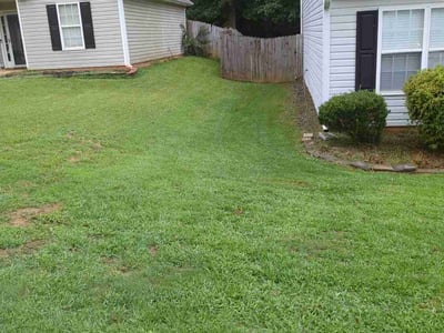 Lawn care service in Loganville, 30052