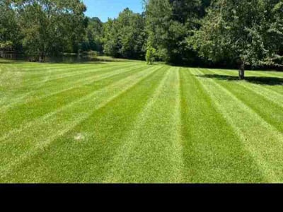 Lawn care service in Massillon, 44647