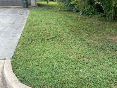 Lawn care service in Huntsville, 35810
