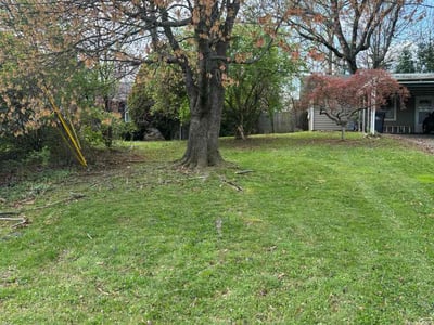 Lawn care service in Knoxville, 37921