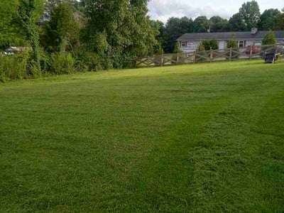 Lawn care service in Maryville, 37803
