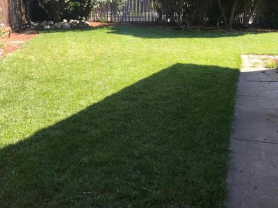 Lawn care service in Davis, 95618