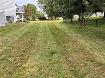 Lawn care service in Minneapolis, 55445