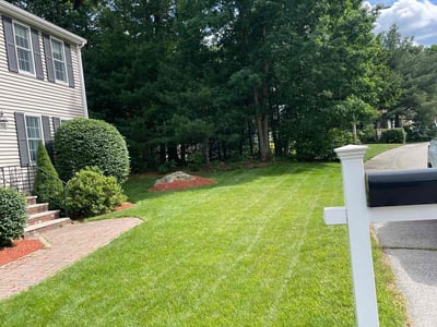 Lawn care service in Weymouth, 02190