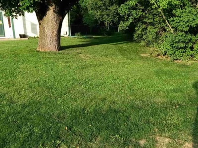 Lawn care service in Council Bluffs, 51503