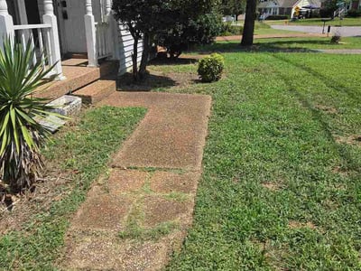 Lawn care service in Nashville, 37013