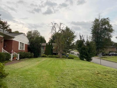Lawn care service in Lenoir, 28645