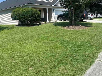 Lawn care service in Moncks Corner, 29461
