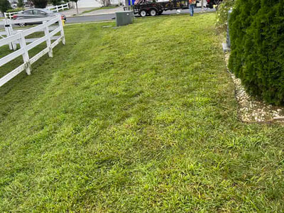 Lawn care service in Townsend, 19734