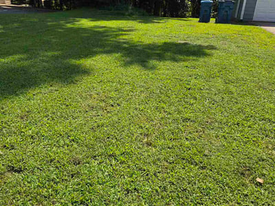 Lawn care service in Buford, 30519