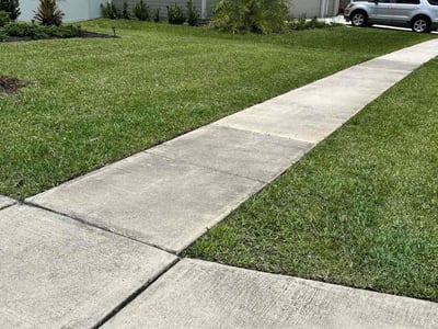 Lawn care service in Mount Dora, 32757