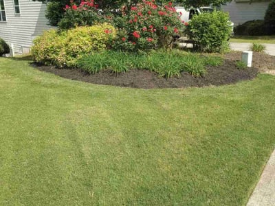 Lawn care service in Woodstock, 30188