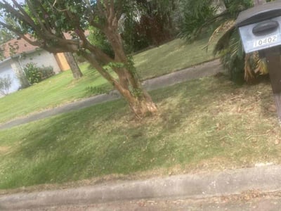 Lawn care service in Houston, 77099