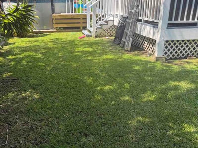 Lawn care service in New Orleans, 70119