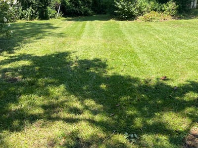 Lawn care service in Columbia, 29210