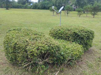 Lawn care service in Bryceville, 32009