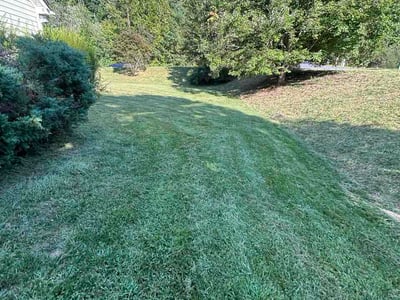 Lawn care service in Weaverville, 28787