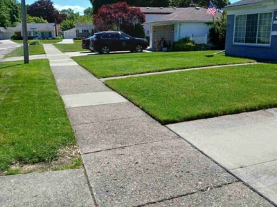Lawn care service in Clawson, 48017