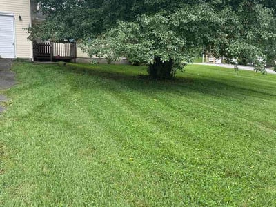 Lawn care service in Bristol, 24201