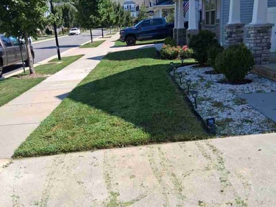 Lawn care service in Newport News, 23608