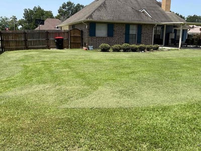 Lawn care service in Scott, 70583