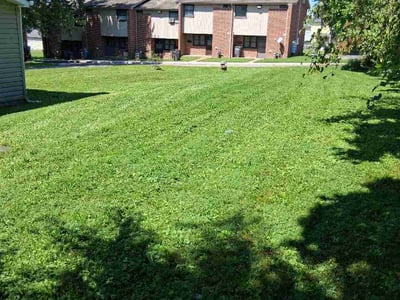 Lawn care service in Uniontown, 15401