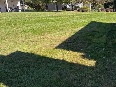 Lawn care service in Harrisburg, 17112