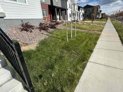 Lawn care service in Commerce City, 80022