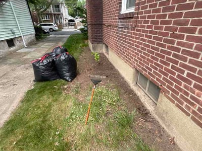 Lawn care service in Queens County, 11433